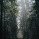 강남할아버지한의원 이미지