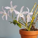 무명농장 이미지