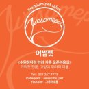 가치타개(타개) 이미지