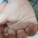 이손약국 이미지