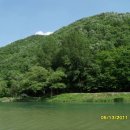 논동천 Daum카페