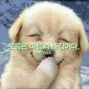 용아