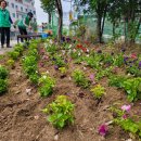 온천2동-30 이미지