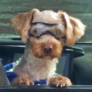 멍토피아 이미지