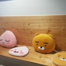 풋바디