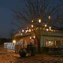 맥주정원 이미지