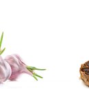 닥터황치과의원 이미지