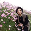 광양동초등학교 이미지