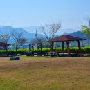 요천생태습지공원 애견놀이터 이미지