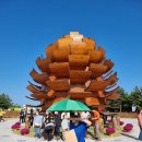 울도전기조명 | 강원 고성 세계산림엑스포 잼버리장에서 개최 축제 볼거리 후기