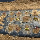 유연농장 이미지