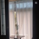 대진항큰집 이미지