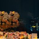 세인트41 이미지