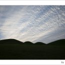 송학동-06 이미지