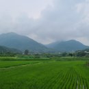 원산2리마을회관 이미지