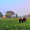 풍경목장 이미지