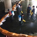 유량1교 이미지