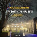 더 디테일(THE EDTAIL) | 뉴질랜드 남섬 여행: 크라이스트처치 The Arts Centre Candlelight Concert 후기, 1882년 Great Hall