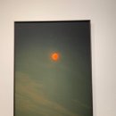 블루마라