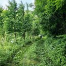 고씨굴 관광지 이미지