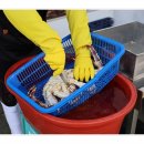 해림대게 이미지