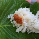 무진장횟집 - 창원시 마산합포구 회진로 1206 | 무진장횟집