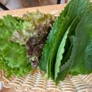 유황생오리숯불구이 이미지