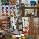 제주아일랜드모텔 이미지