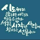 건강체조,라인댄스 이미지