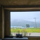 [25년 3분기] 모던민화 | + 파주 광탄 마장호수 근처 인스타 핫플 카페 솔직 후기 / 금촌 언칼국수 맛있다 :)