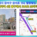 테라메드 이미지