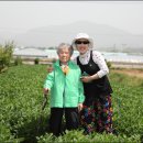 보리원농장 이미지