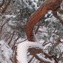 남산 산책로 이미지
