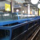 수원-0983 이미지