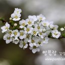 서로지을 티스토리