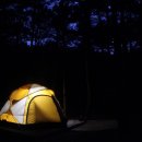 파인힐 캠프 이미지