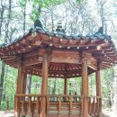 정자세천 이미지