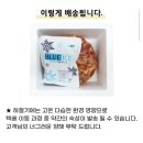 [지마켓] 한상궁김치 국산 겉절이 2kg 출고당일생산 (9,520원) (무배) 이미지