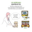메인동물병원 이미지