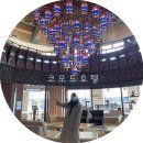 코모도호델팔레로얄사우나 | 부산 여행 가성비 숙소 추천 코모도호텔 프리미어 디럭스 트윈 숙박 솔직후기.