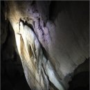 [평창여행] 원시생태의 동굴탐사를 떠나자, 백룡동굴 - 천연기념물 제260호 이미지