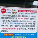 (제주) 제주 서귀포 오는정김밥 드디어 먹어본 내 돈 내산 후기 &amp; 꼬란 라면 맛집 추천