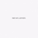 바람이분다 이미지