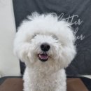 위위그루밍 이미지