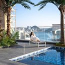 메르드로브 이미지