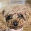 커피그래비티권곡동점