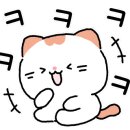 나진약국 이미지