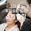 포항 두피관리 리미도트 봄맞이 두피스케일링 후기
