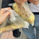 버들약국 | 대만 타이베이 2일차(3박 5일)