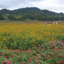 신기리 도로변 이미지